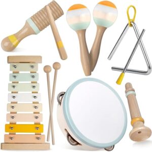Baby Musical Instruments-Montessori Wooden Toys for Toddlers…